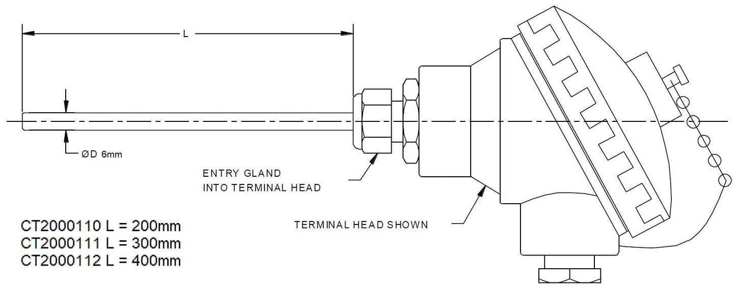 Exoquip Class B PT100 RTD 300X6MM with Head & 4-20mA Transmitter